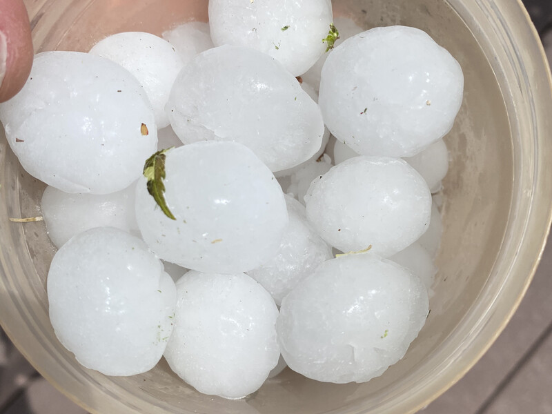 Hail damage on roof requiring insurance claim assistance
